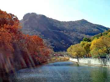 卫生间同层排水系统，创新设计，提升居住体验